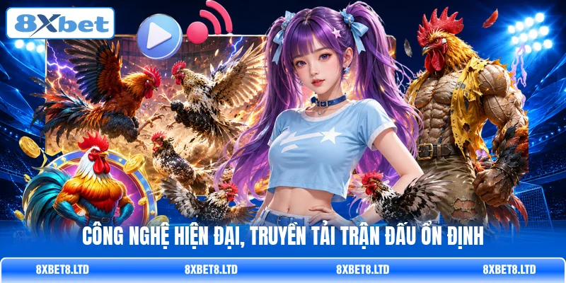 Công nghệ hiện đại, truyền tải trận đấu ổn định Công nghệ hiện đại, truyền tải trận đấu ổn định